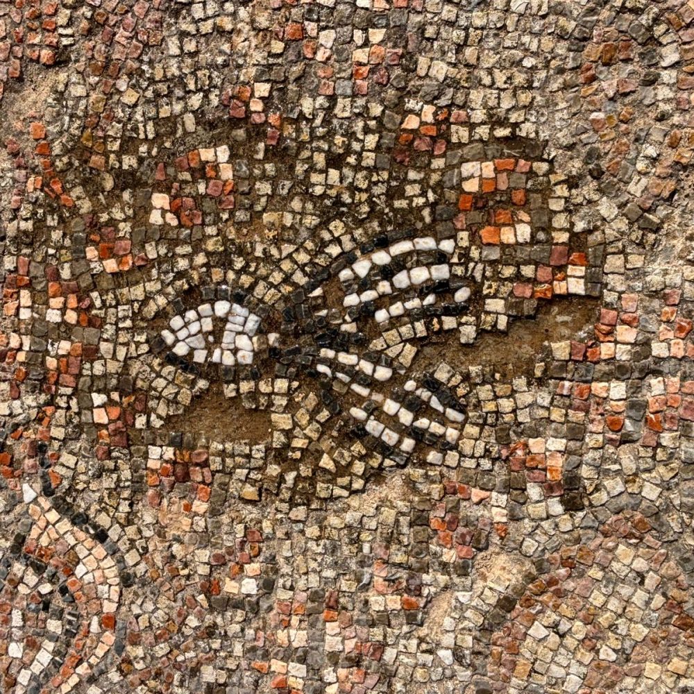 WhatsApp Image 2026-03-04 at 18.45.48